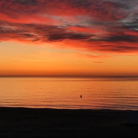 Roseva - T2 Vue Mer - Climatisation Canet-en-Roussillon Eksteriør bilde
