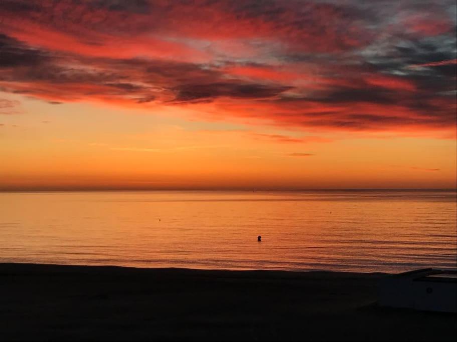 Roseva - T2 Vue Mer - Climatisation Canet-en-Roussillon Eksteriør bilde